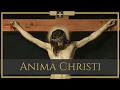 Download Lagu Anima Christi