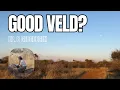 What Grass Can Tell You About the African Savanna