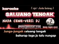 Download Lagu SALUANG TENGAK NADA CEWE | KARAOKE + LIRIK VERSI DJ ALDY MUSIC358 | LAGU DAYAK | REMIX DAYAK