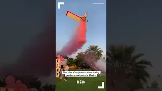 Pilot Dies After Plane Crashes During Gender Reveal Party In Mexico 