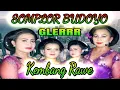 Download Lagu Tayub Glerr Somplor Budoyo | Kembang Rawe