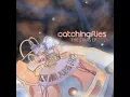 Catching Flies - Sunrays