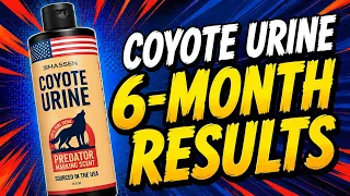 Does It WORK 6 Months of TESTING - RESULTS of Coyote Urine