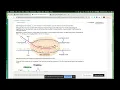 BioinformaticsTools ReverseComplement