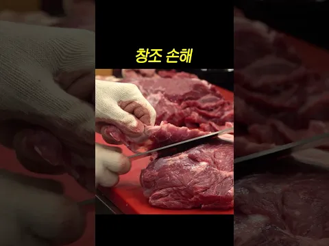 이것이 '창조 손해'다