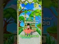 Download Lagu Maulana - Maulana •Special Ramadhan• Liat Video Terbaru!