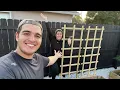 The EASIEST Trellis Ever Free Build Plans