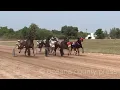 Around the County Harness racing begins at Oceana County Fair