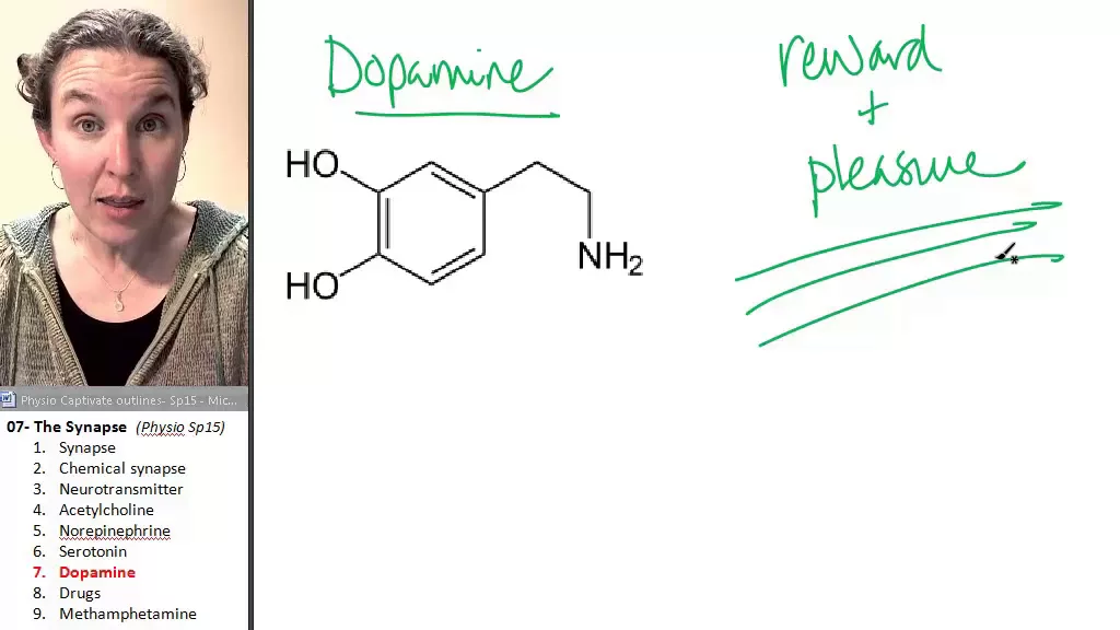 Synapse 7- Dopamine