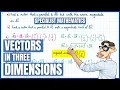 Properties of Parallel Vectors - Example Question