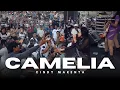 Download Lagu CAMELIA - CINDY MARENTA NEW KENDEDES LIVE RINGINBAGUS PUNCU KEDIRI 2025