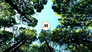 muzi guerrilla belief