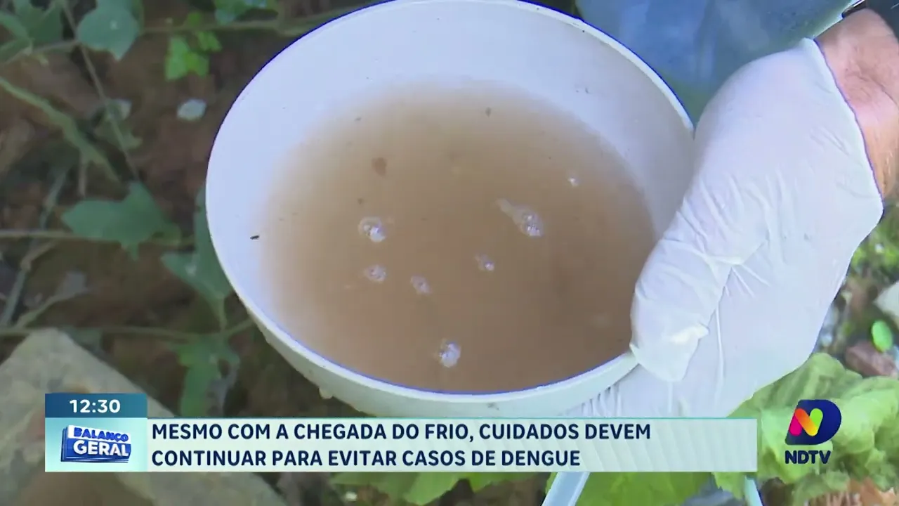 Mesmo com a chegada do frio, cuidados devem continuar para evitar casos de dengue
