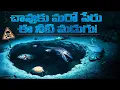 Lagu చావుకు మరో పేరు ఈ నీటి మడుగు! ఎర్ర సముద్రం కింద దాగున్న రహస్యం | The Underwater Lake of Death