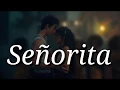 Download Lagu Senorita lirik Dan Terjemahan Bahasa Indonesia