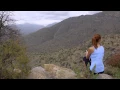 Things to Do in Tucson