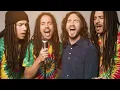 Lagu Red Hot Chili Peppers - Snow (Hey Oh) — Versión Reggae Soul