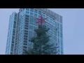 Crowds gathered for Chicago s Millennium Park tree lighting ceremony