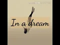 In a dream - Troye Sivan (lyric video)
