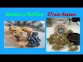Blueberry Muffins Cannabis Strain Review