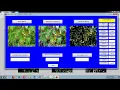 Tomato leaf disease detection MATLAB GLCM SVM