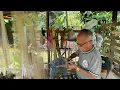 Download Lagu Bujang Sigat Curi2 Pergi Dekat Pondok Reban  Ayamnya😂🫢