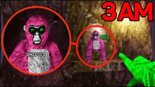 I Hunted DAISY09 at 3am