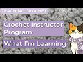 My Crochet Instructor Certification Journey Craft Yarn Council Update Tips