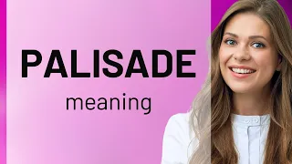 Palisade what is PALISADE definition