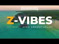 Z-VIBES #001 | DJ Hanafi • Afro Groovy Uplift [Sunset Mix]🔥🌄