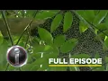 Download Lagu ‘Pulo’t Pukyutan,’ dokumentaryo ni Kara David (Full Episode) | I-Witness