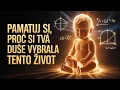 Download Lagu JAK SI VZPOMENOUT NA SVOU DUŠEVNÍ SMLOUVU (ŽIVOTNÍ POSLÁNÍ)