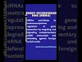 Download Lagu #siRNA introduction and clarification
