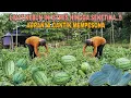 Download Lagu LIHAT KEBUN INI STRES HILANG SEKETIKA..!! AURANYA CANTIK MEMPESONA
