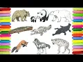 Wild animals coloring pages Ep 2
