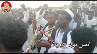 Tigre Music Ibrahim Nory ابراهيم نوراي اغنية مرعاوينا 