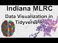 Indiana MLRC Seminar Data Visualization in Tidyverse R
