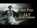 LIVE Harry Potter Marathon Livestream