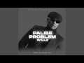Miles Came Along x Willz Mr Nyopole - Palibe Problem ( Official Audio )