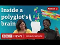 Lagu The benefits of speaking multiple languages - What in the World podcast, BBC World Service