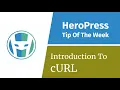 Introduction To cURL The Command Line Web Browser
