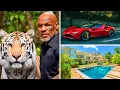 Inside Mike Tyson s 400 Million Dollar Fortune