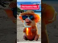 Download Lagu Retire to the Dominican Republic and This Could be You