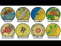 Download Lagu Every WORST Designed City Explained in 9 Minutes