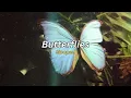 Butterflies (slowed) - Giulio Cercato (250924)