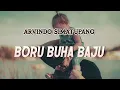 Download Lagu ARVINDO SIMATUPANG - Boru Buha Baju (Lirik dan Artinya)