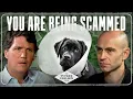 The Private Equity Veterinary Scam Making You Poorer and Killing Your Pets