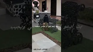 من قلبي يا حبيبة قلبي 