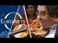 Download Lagu Itzhak Perlman \u0026 Pinchas Zukerman: Halvorsen - Passacaglia