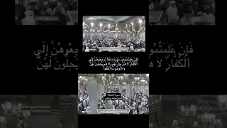 ي أ ي ه ا ٱل ذ ين ء ام ن و ا إ ذ ا ج آء ك م ٱل م ؤ م ن ت م ه ج ر ت ف ٱم ت ح ن وه ن 